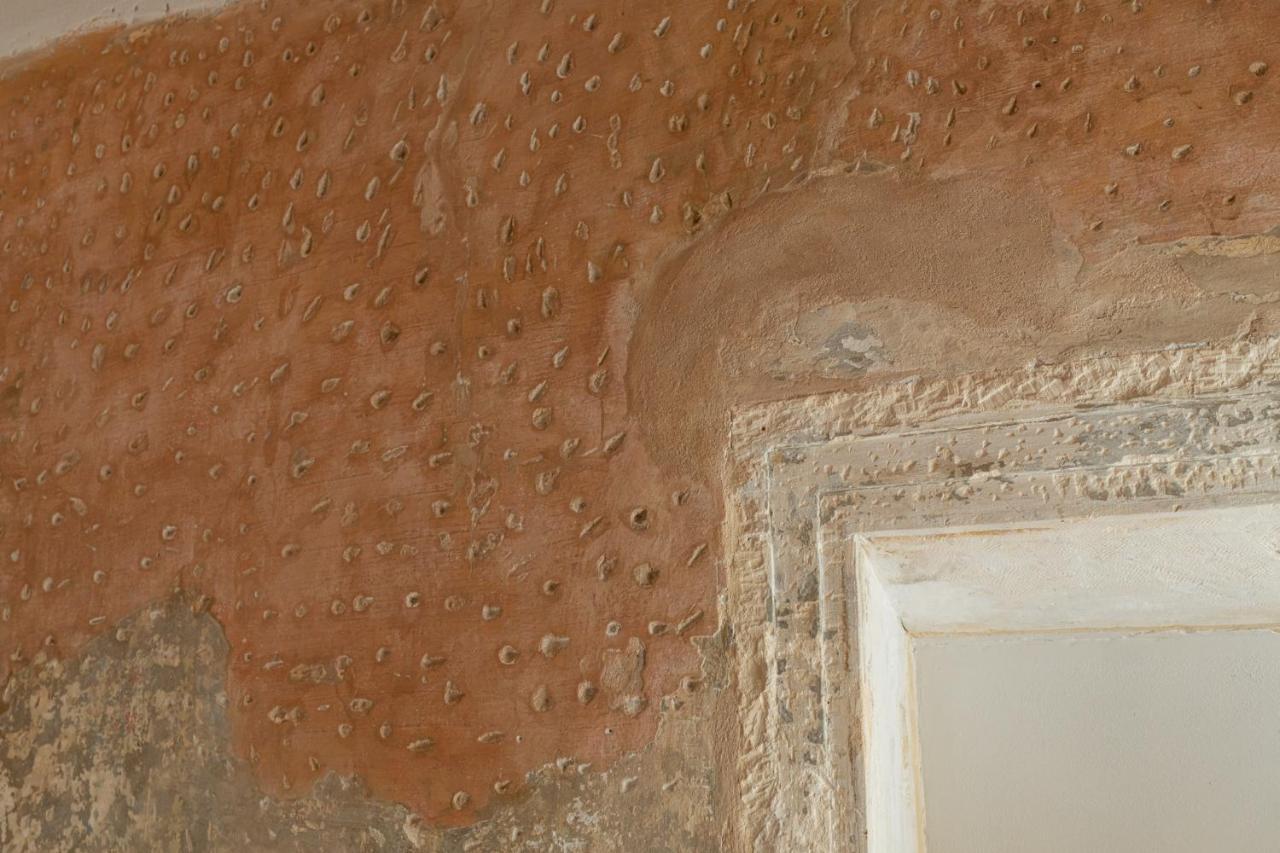 Domus Verona - Residenza Marconi Eksteriør billede